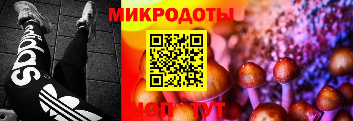 Галлюциногенные грибы MAGIC MUSHROOMS  Вход с VPN  Петровск  Псилоцибиновые грибы прущие грибы 