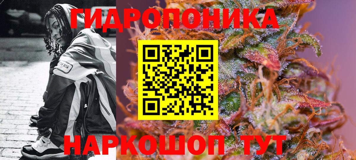 МАРИХУАНА семена  Бошки марихуана THC 21%  Петровск  Вход с VPN  МАРИХУАНА Ganja 
